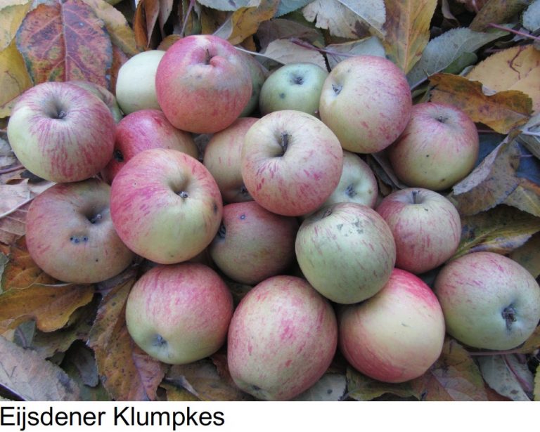 Eijsdener Klumpke Eijsdener Klumpke